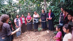 El Coro de Chiapas